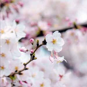 Meet your Posher, Jill